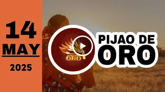 Resultado Pijao de Oro: último sorteo del miércoles 14 de mayo de 2025