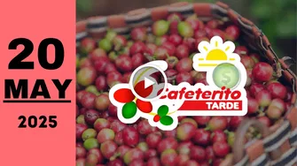 Cafeterito Tarde: resultado último sorteo de hoy martes 20 de mayo de 2025