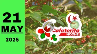 Cafeterito Noche: resultado último sorteo de hoy miércoles 21 de mayo de 2025