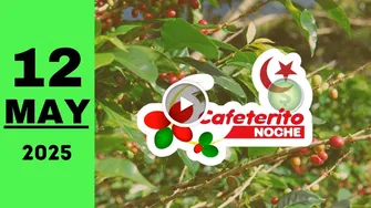 Resultado Chance Cafeterito Noche: último sorteo del lunes 12 de mayo de 2025