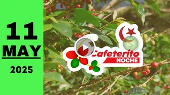 Resultado de Cafeterito Noche chance de hoy domingo 11 de mayo de 2025
