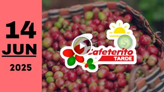 Resultado Chance Cafeterito Tarde: último sorteo de hoy sábado 14 de junio de 2025