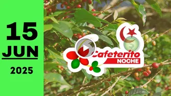Resultado Cafeterito Noche: último sorteo chance del domingo 15 de junio de 2025