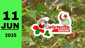Resultado de Chance Cafeterito Noche del miércoles 11 de junio de 2025